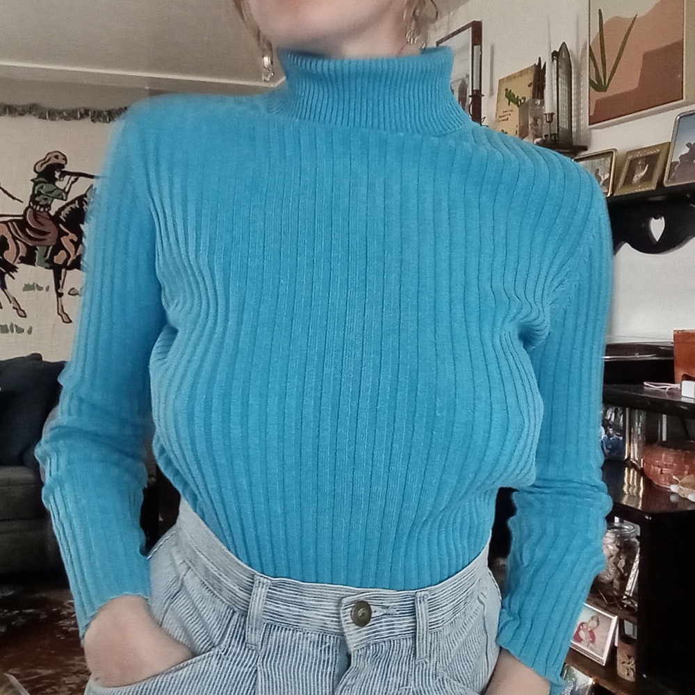 Express turtleneck